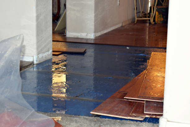 Professional Water Damage Restoration technician working in Whipple, OH